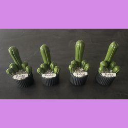 Fucktus 1 farvet - sort potter - hvide sten - lille skilt