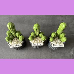 Fucktus 1 farvet - sort potter - hvide sten - lille skilt