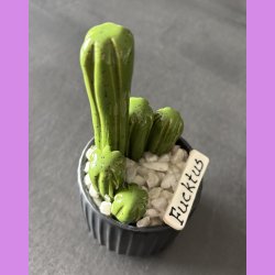 Fucktus 1 farvet - sort potter - hvide sten - lille skilt