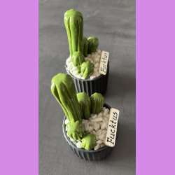 Fucktus 1 farvet - sort potter - hvide sten - lille skilt