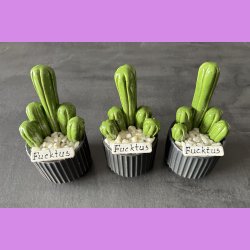 Fucktus 1 farvet - sort potter - hvide sten - lille skilt