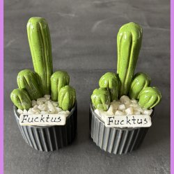 Fucktus 1 farvet - sort potter - hvide sten - lille skilt