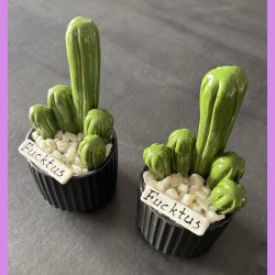 Fucktus 1 farvet - sort potter - hvide sten - lille skilt