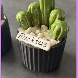 Fucktus 1 farvet - sort potter - hvide sten - lille skilt