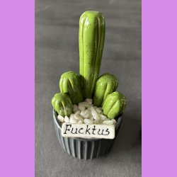 Fucktus 1 farvet - sort potter - hvide sten - lille skilt