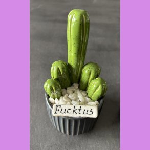 Fucktus 1 farvet - sort potter - hvide sten - lille skilt