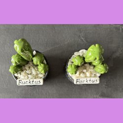 Fucktus 1 farvet - sort potter - hvide sten - lille skilt