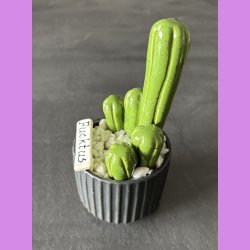 Fucktus 1 farvet - sort potter - hvide sten - lille skilt