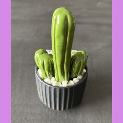 Fucktus 1 farvet - sort potter - hvide sten - lille skilt