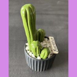 Fucktus 1 farvet - sort potter - hvide sten - lille skilt