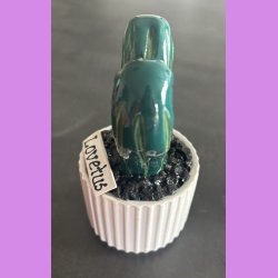 Lovetus 2 farvet - hvid potter