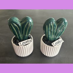 Lovetus 2 farvet - hvid potter