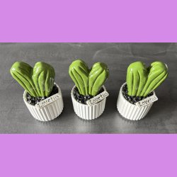 Lovetus 1 farvet - hvid potter - sorte sten - lille skilt