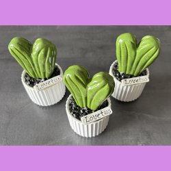 Lovetus 1 farvet - hvid potter - sorte sten - lille skilt