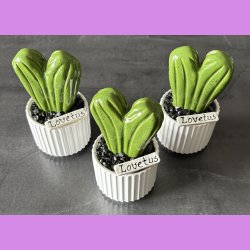 Lovetus 1 farvet - hvid potter - sorte sten - lille skilt