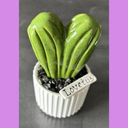 Lovetus 1 farvet - hvid potter - sorte sten - lille skilt