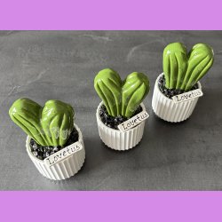 Lovetus 1 farvet - hvid potter - sorte sten - lille skilt