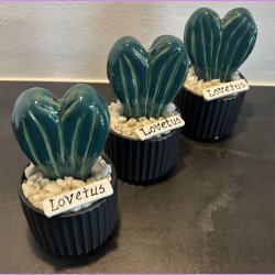 Lovetus 2 farvet - sort potter -lille skilt