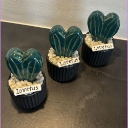 Lovetus 2 farvet - sort potter -lille skilt