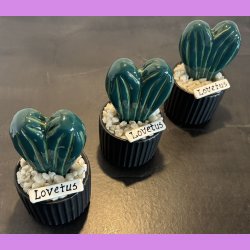 Lovetus 2 farvet - sort potter -lille skilt