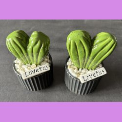 Lovetus 1 farvet - sort potter - hvide sten - lille skilt