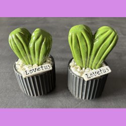 Lovetus 1 farvet - sort potter - hvide sten - lille skilt