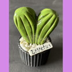 Lovetus 1 farvet - sort potter - hvide sten - lille skilt