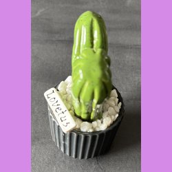 Lovetus 1 farvet - sort potter - hvide sten - lille skilt