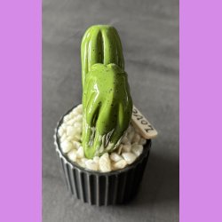 Lovetus 1 farvet - sort potter - hvide sten - lille skilt