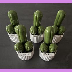  Cocktus Ensfarvet - hvid potte - lille lige skilt