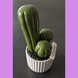  Cocktus Ensfarvet - hvid potte - lille lige skilt