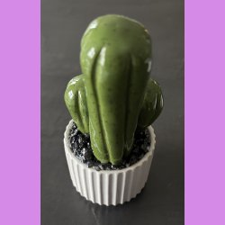  Cocktus Ensfarvet - hvid potte - lille lige skilt