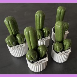  Cocktus Ensfarvet - hvid potte - lille lige skilt