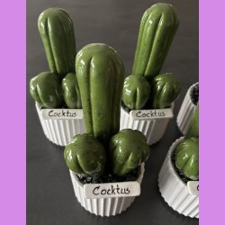  Cocktus Ensfarvet - hvid potte - lille lige skilt