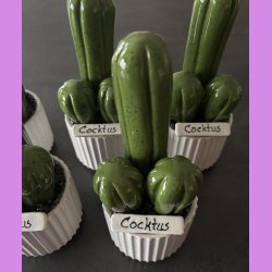  Cocktus Ensfarvet - hvid potte - lille lige skilt