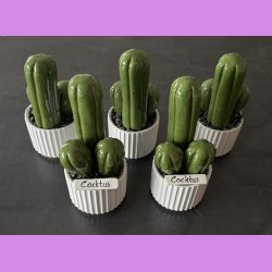  Cocktus Ensfarvet - hvid potte - lille lige skilt