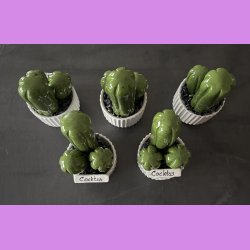  Cocktus Ensfarvet - hvid potte - lille lige skilt