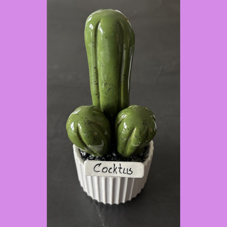  Cocktus Ensfarvet - hvid potte - lille lige skilt