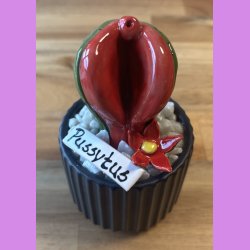 Pussytus Ensfarvet - sort potte- med blomst