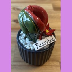 Pussytus Ensfarvet - sort potte- med blomst