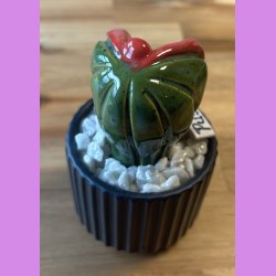 Pussytus Ensfarvet - sort potte- med blomst