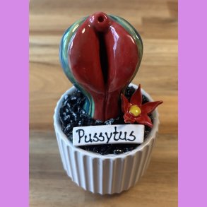 Pussytus 2 farvet - hvid potte- med blomst