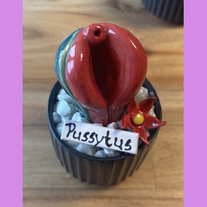 Pussytus 2 farvet - sort potte- med blomst