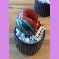 Pussytus 2 farvet - sort potte- med blomst