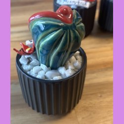 Pussytus 2 farvet - sort potte- med blomst