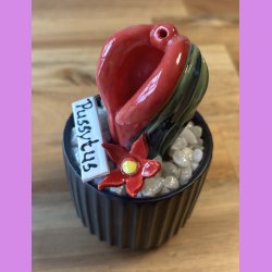 Pussytus 2 farvet - sort potte- med blomst