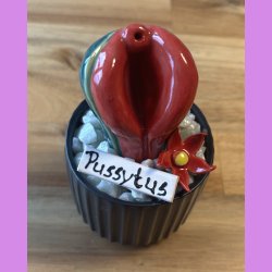 Pussytus 2 farvet - sort potte- med blomst