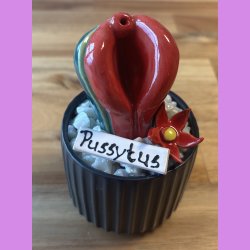 Pussytus 2 farvet - sort potte- med blomst