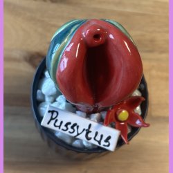 Pussytus 2 farvet - sort potte- med blomst