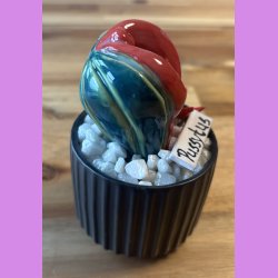 Pussytus 2 farvet - sort potte- med blomst